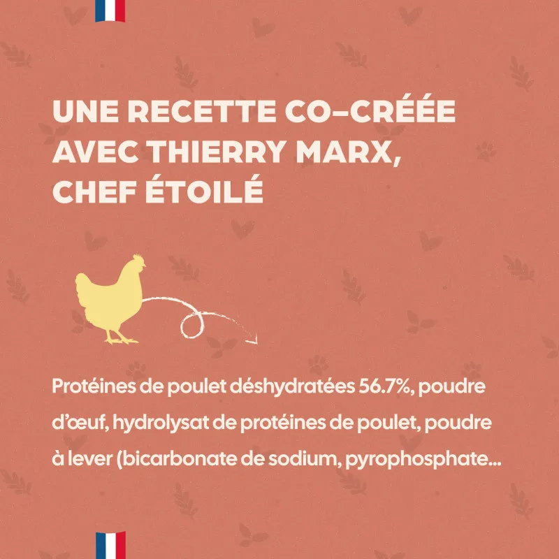 Moelleux pour chat saveur Poulet Curcuma par Thierry Marx | Friandise savoureuse