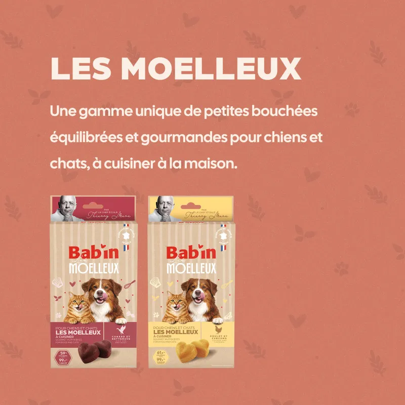 Moelleux pour chat saveur Poulet Curcuma par Thierry Marx | Friandise savoureuse