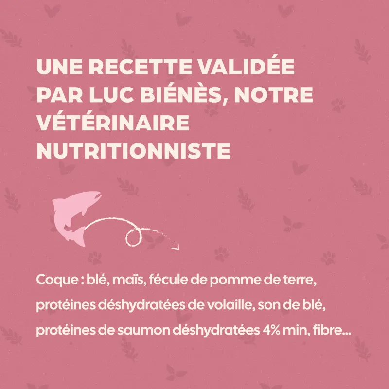 Friandises pour chat Bab’inette – Saumon – Croustillantes, cœur fondant & légères