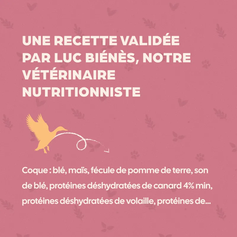 Friandises pour chat Bab’inette au Canard – Croustillantes, cœur fondant & faibles calories