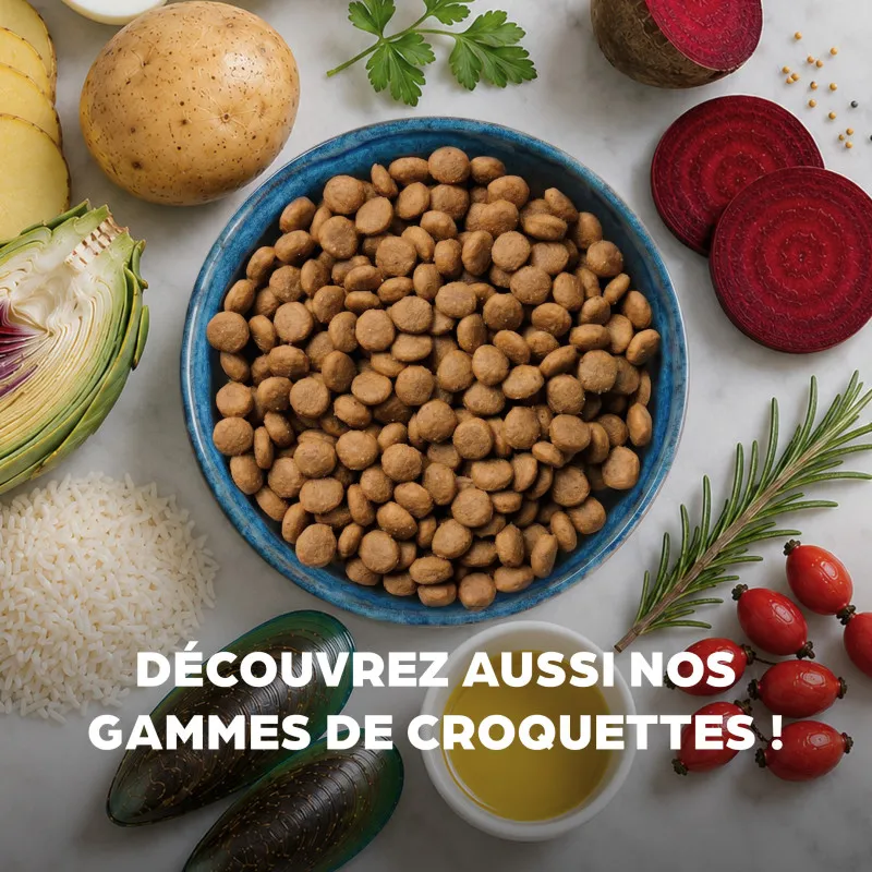 Friandises pour chat Bab’inette au Canard – Croustillantes, cœur fondant & faibles calories