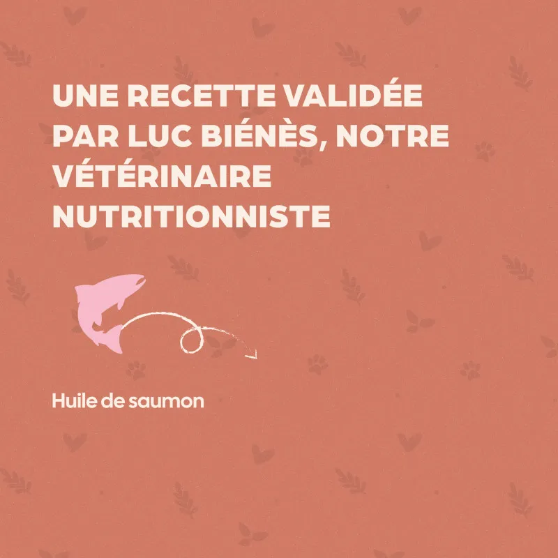 Huile de Saumon Babin pour Chien | Peau saine, pelage brillant et immunité