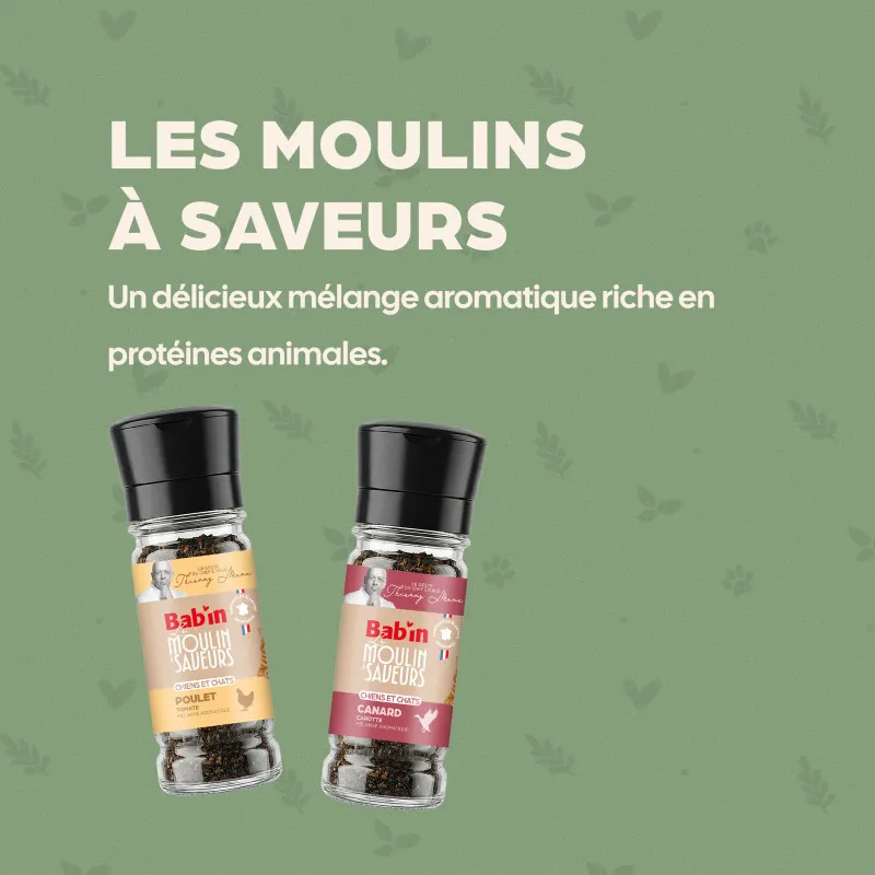 Bab'in Le Moulin à Saveurs par le chef Thierry Marx pour chien et chat saveur Poulet Tomate