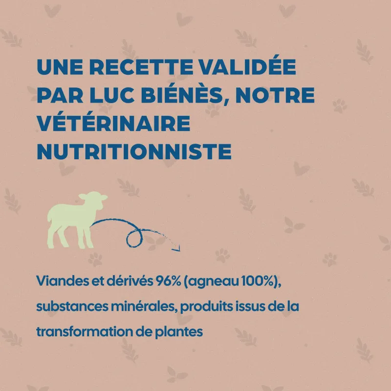 Bab'in Terrine pour chat - Agneau - Haute digestibilité - Garantie sans céréales ni gluten - Mono-protéine animale Agneau