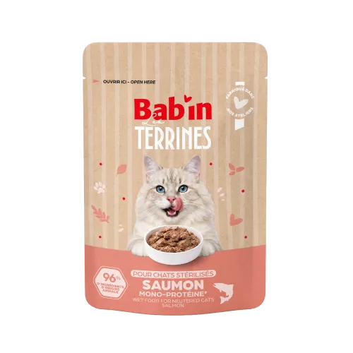 Terrine Chat - Saumon