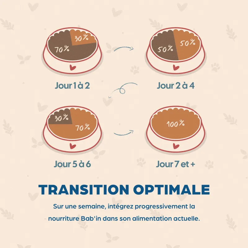 Bab'in Terrine pour chat - Saumon - Haute digestibilité - Garantie sans céréales ni gluten - Mono-protéine animale Saumon