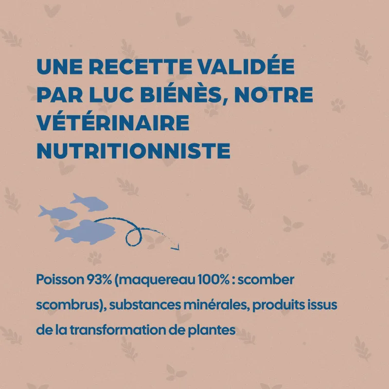 Bab'in Terrine pour chat - Poisson- Haute digestibilité - Garantie sans céréales ni gluten - Mono-protéine animale Poisson