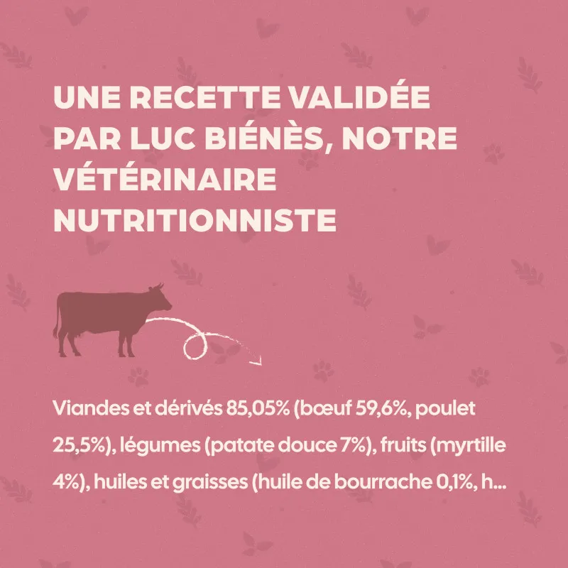 Bab'in Terrine Cuisinée pour chien - Boeuf - Haute digestibilité - Fruits et légumes soigneusement sélectionnés - Texture brute