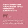 Bab'in Terrine Cuisinée pour chien - Boeuf - Haute digestibilité - Fruits et légumes soigneusement sélectionnés - Texture brute