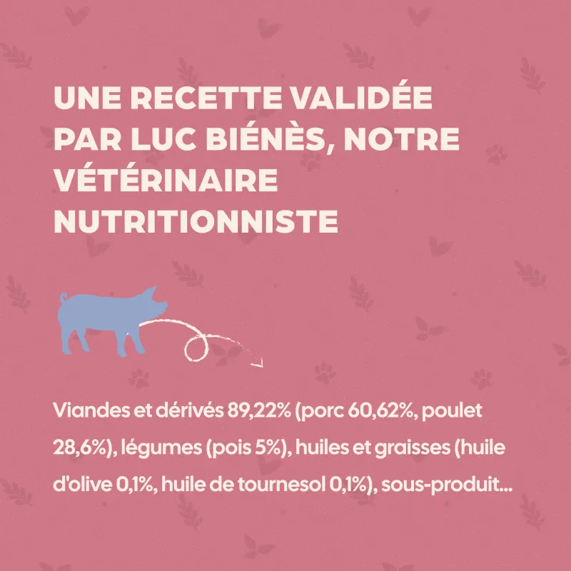 Bab'in Terrine Cuisinée pour chien - Porc- Haute digestibilité - Fruits et légumes soigneusement sélectionnés - Texture brute et