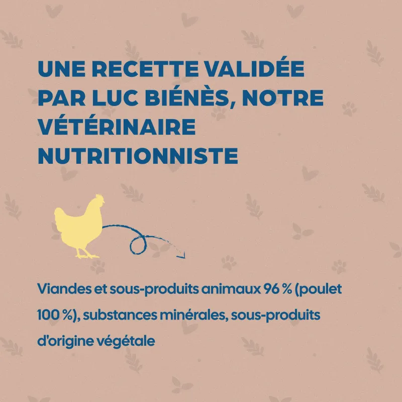 Bab'in Terrine pour chien - Poulet - Haute digestibilité - Garantie sans céréales ni gluten - Mono-protéine animale Poulet