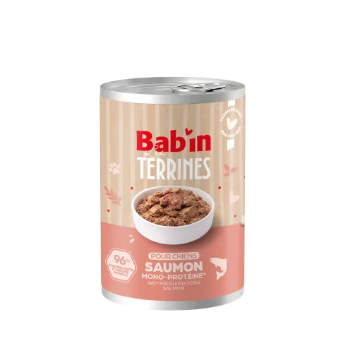 Terrine Chien - Saumon