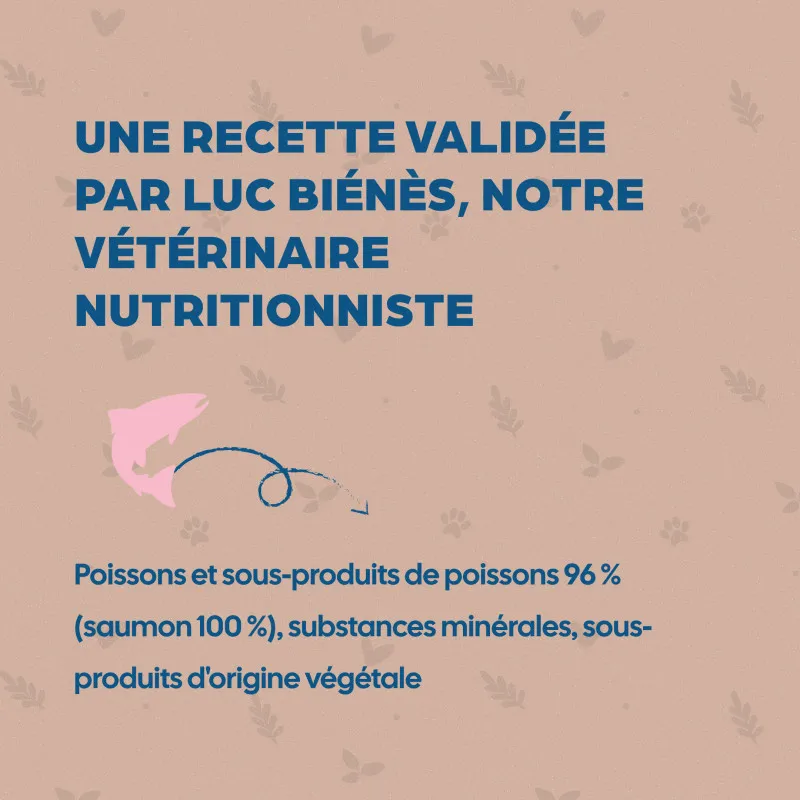 Bab'in Terrine pour chien - Saumon - Haute digestibilité - Garantie sans céréales ni gluten - Mono-protéine animale Saumon