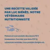 Bab'in Terrine pour chien - Poisson- Haute digestibilité - Garantie sans céréales ni gluten - Mono-protéine animale Poisson