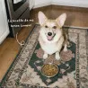 Croquettes Sans Céréales Petits chiens sensibles | Mini Babin  🐾
