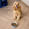 Bab'in Croquettes pour chien adulte stérilisé - Sans céréales - Poulet