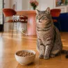 Bab'in Croquettes pour chat  Senior -  Poulet.  Soutien articulaire. Taux élevé de protéines de haute qualité.