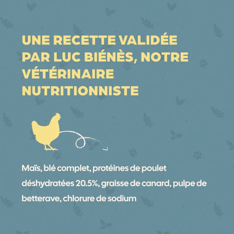 Bab'in Croquettes pour chien Adulte Classique - Poulet