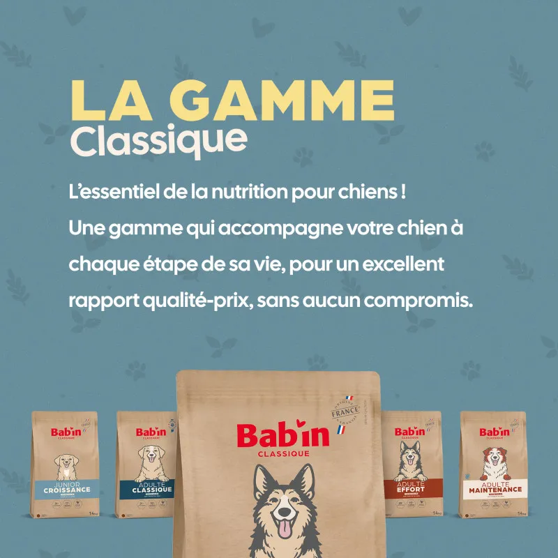 Bab'in Croquettes pour chien Adulte Junior Croissance - Poulet