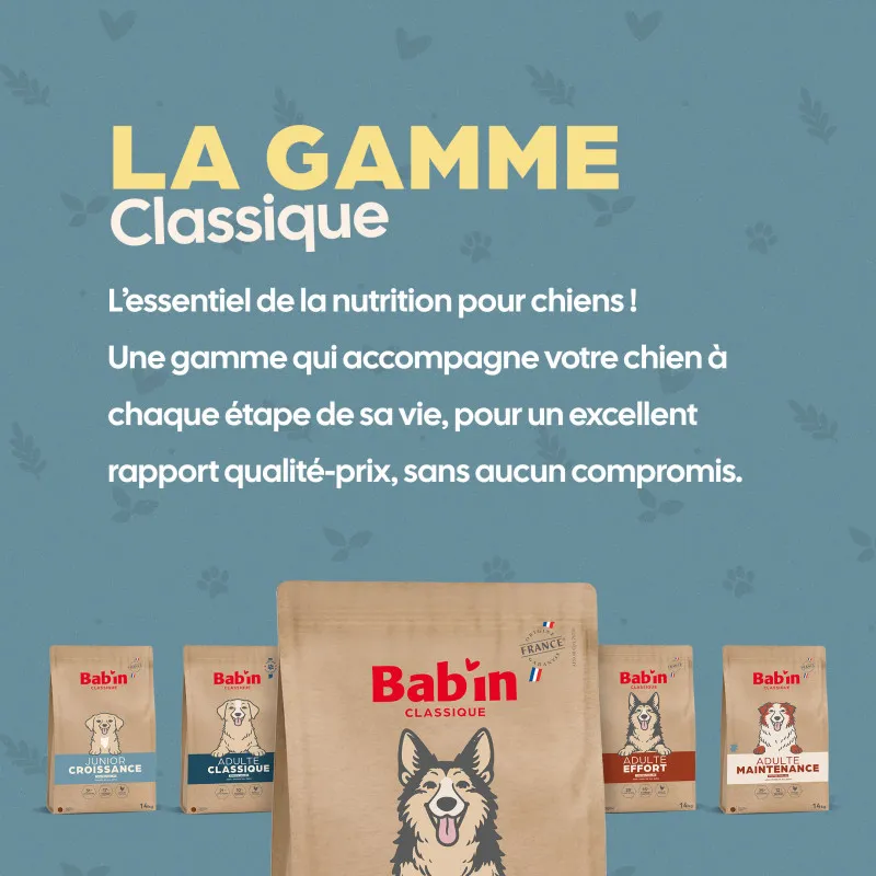 Bab'in Croquettes pour chien Adulte Effort - Poulet