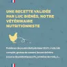 Chat Adulte Classique - Poulet