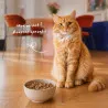Bab'in - Croquettes pour Chat Adulte - Gamme Classique - Saveur Canard 3/7/14 kg - Aliment complet, Équilibre et bonne forme