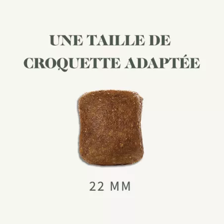 Bab'in Croquettes pour chien Junior-Races géantes Poulet. Favorise la croissance. Taux élevé de protéines de haute qualité.