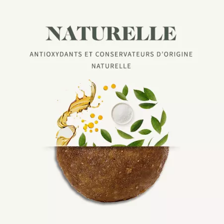 Bab'in Croquettes pour chien Medium et Maxi Adulte Digestif. Confort digestif. Taux élevé de protéines de haute qualité.