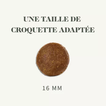 Bab'in Croquettes pour chien Medium et Maxi Adulte Peau et Pelage. Sensibilité cutanée. Taux élevé de protéines.