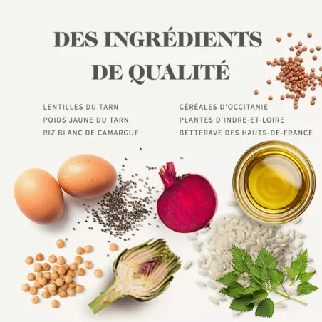 Bab'in Croquettes pour chien Medium junior - Poulet. Favorise la croissance. Taux élevé de protéines de haute qualité.