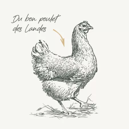 Bab'in Le Moulin à Saveurs par le chef Thierry Marx pour chien et chat saveur Poulet Tomate
