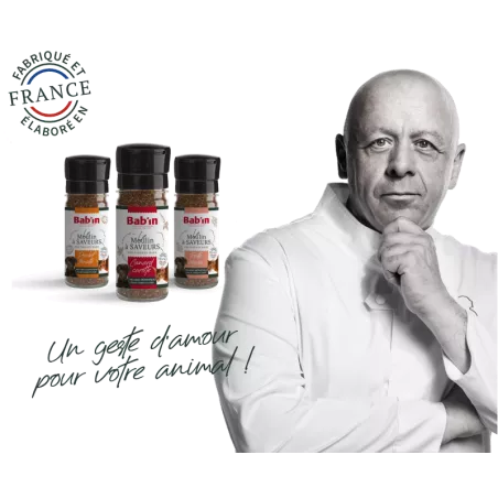 Bab'in Le Moulin à Saveurs par le chef Thierry Marx pour chien et chat saveur Poulet Tomate