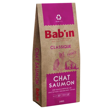 Chat Adulte Classique - Saumon