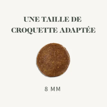 Bab'in Croquettes pour chien Junior Peau et Pelage - Saumon. Sensibilité cutanée. Taux élevé de protéines de haute qualité.