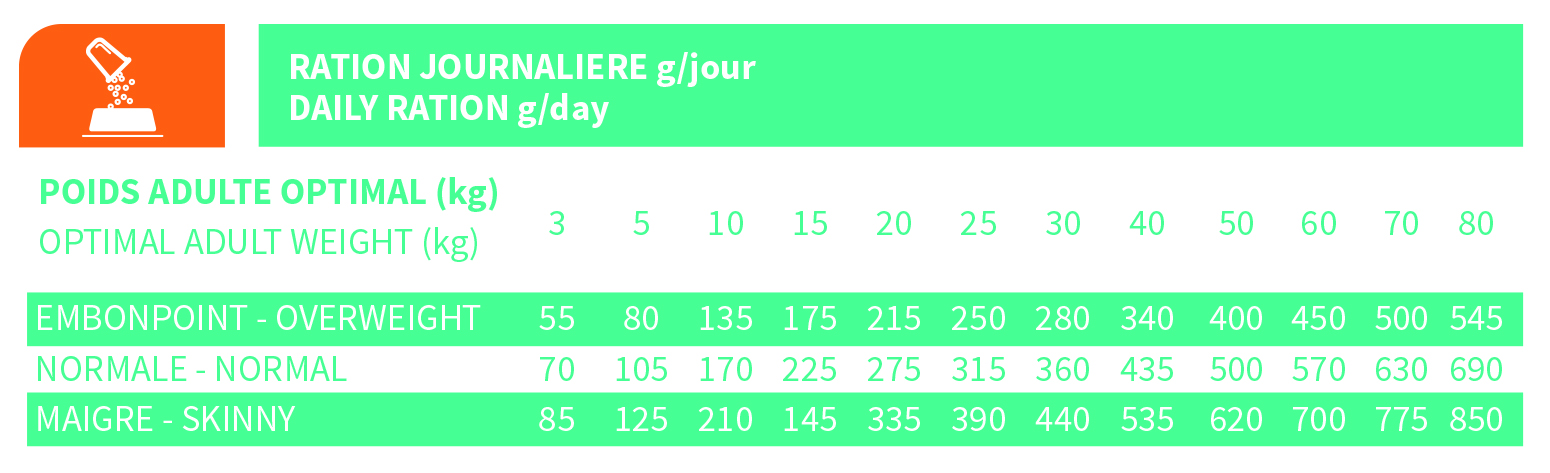 rationmediumarticulaire