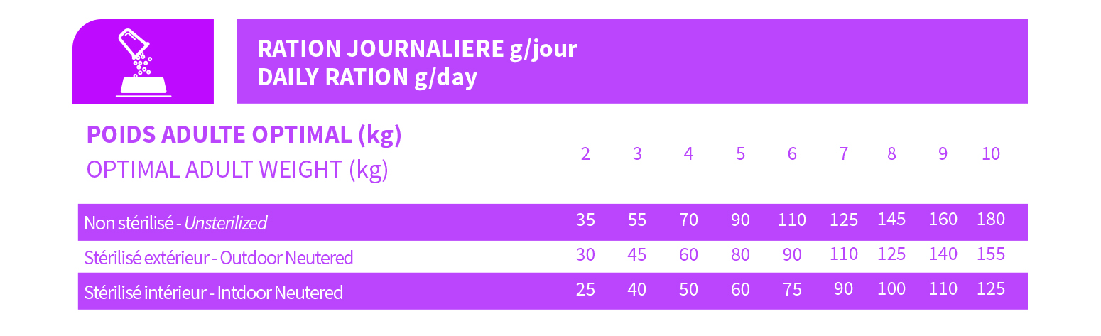 rationchatlabPP