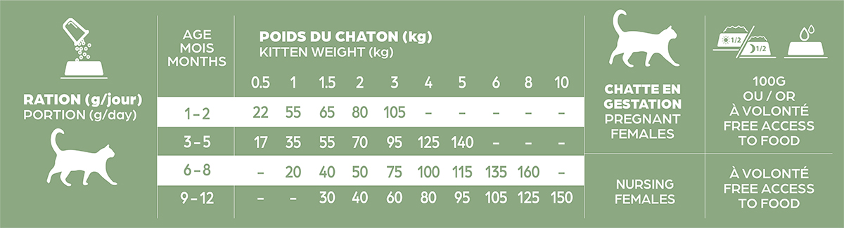 Ration chaton croissance
