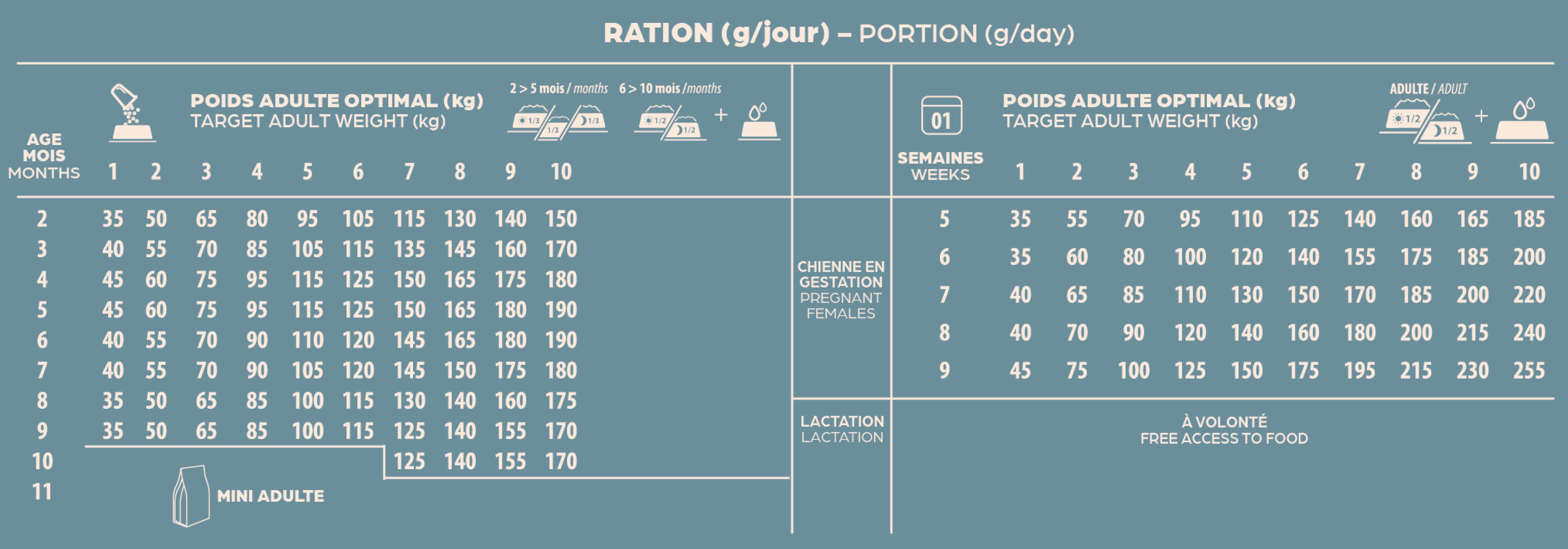 Rationnement 300100