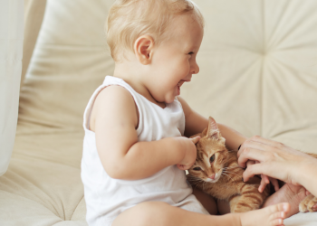 Le chat et l'arrivée d'un bébé : nos conseils pour tout préparer !