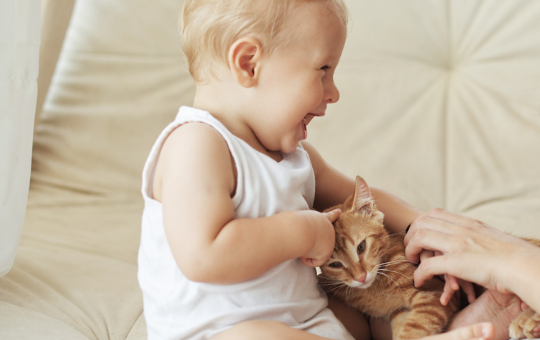 Le chat et l'arrivée d'un bébé : nos conseils pour tout préparer !