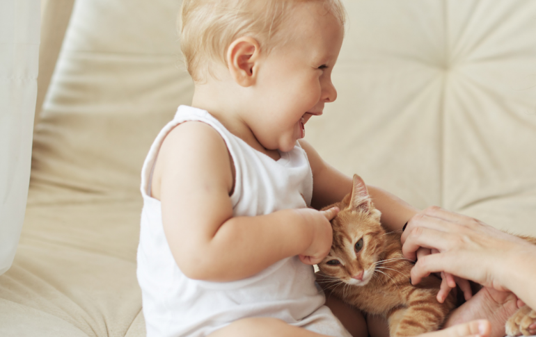 Envie de préparer l'arrivée de votre bébé ?