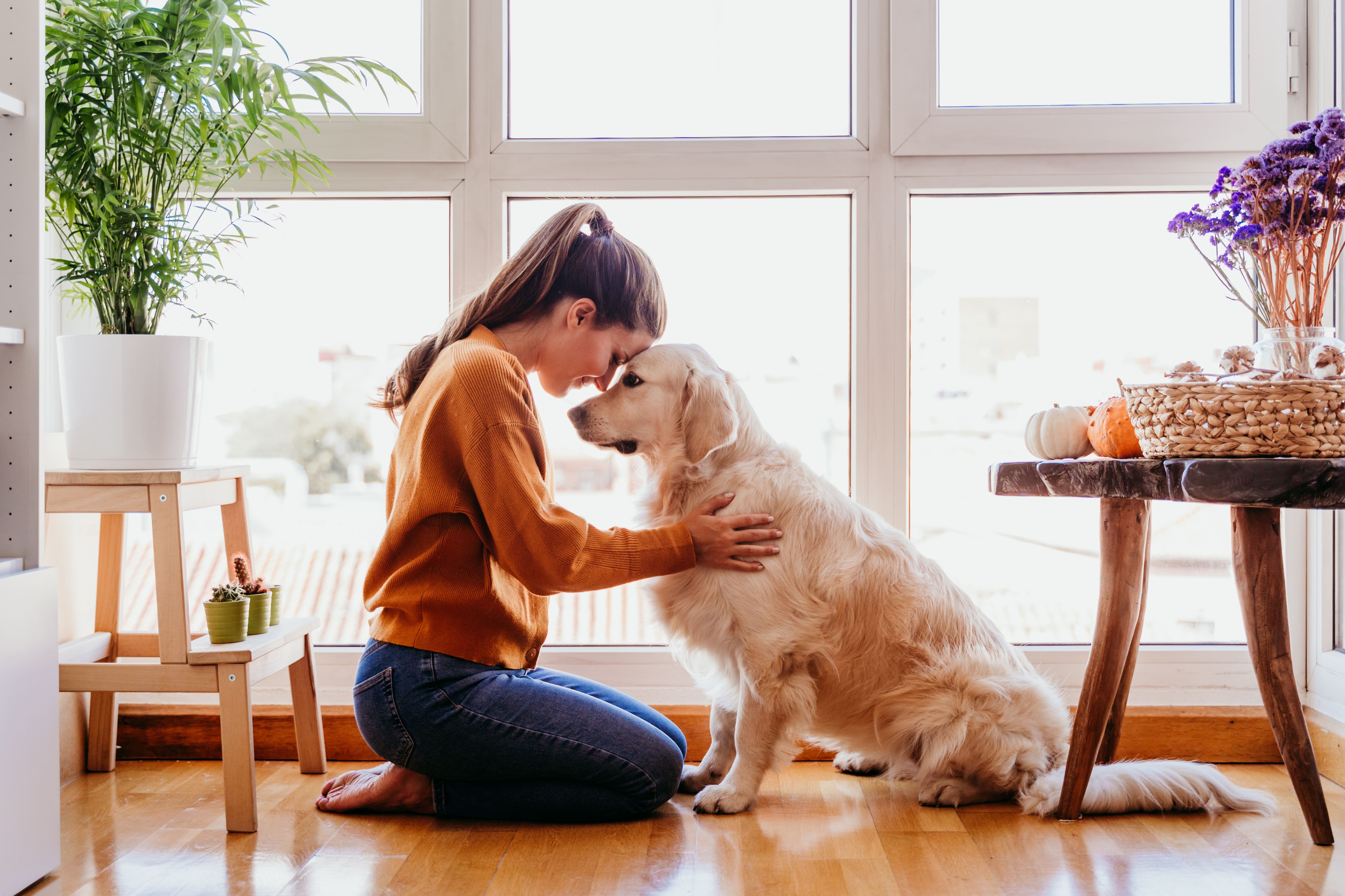 Mon animal a des vers, que faire ?