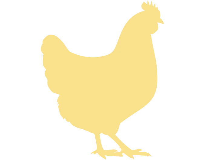 Poulet