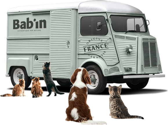 Image camion