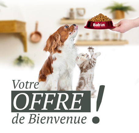 Offre de bienvenue