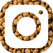 Logo instagram Babin croquettes