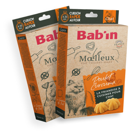 Moelleux Poulet Curcuma