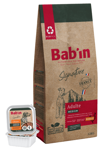 Lot d'un sachet de croquettes babin accompagné de terrines de poulet pour Chien